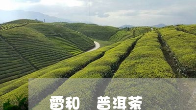 雷和 普洱茶/2023042681615